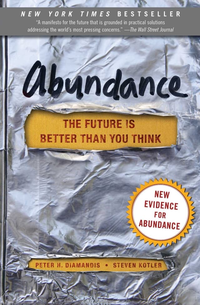 Abundance book cover